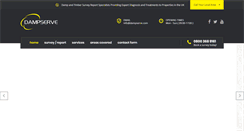 Desktop Screenshot of dampserve.com